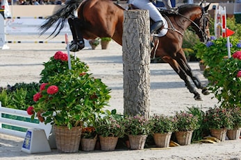 Endringer i påmeldingsgebyr til internasjonale stevner